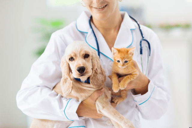 Mobile veterinarian holding a dog and cat.